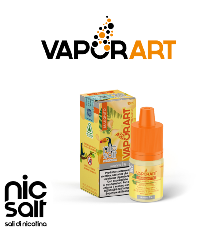VAPORART LIQUIDO PRONTO NICSALT MANGHITO 10 ML