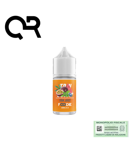QR FLAVOUR MINI SHOT 10+10 FOODIE TRIN JUICE 10 ML